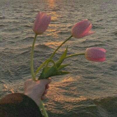 yaboapp手机app下载