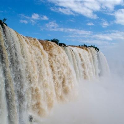 天天中彩票app下载